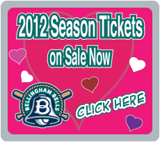Valentine's Day Promotion