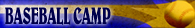 Baseball Camp